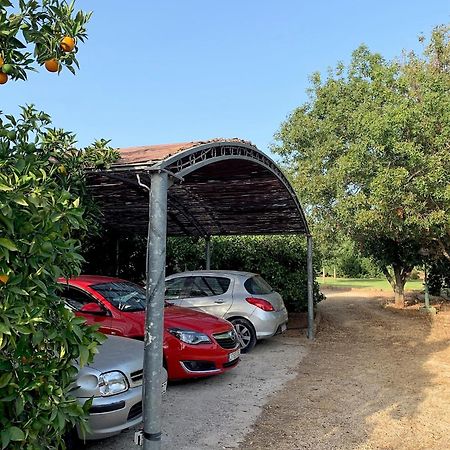 Casa Rural Con Encanto, 4 Hab Con 4 Banos Completos En Suite, Piscina Y Campo Privado 페드리구에르 외부 사진