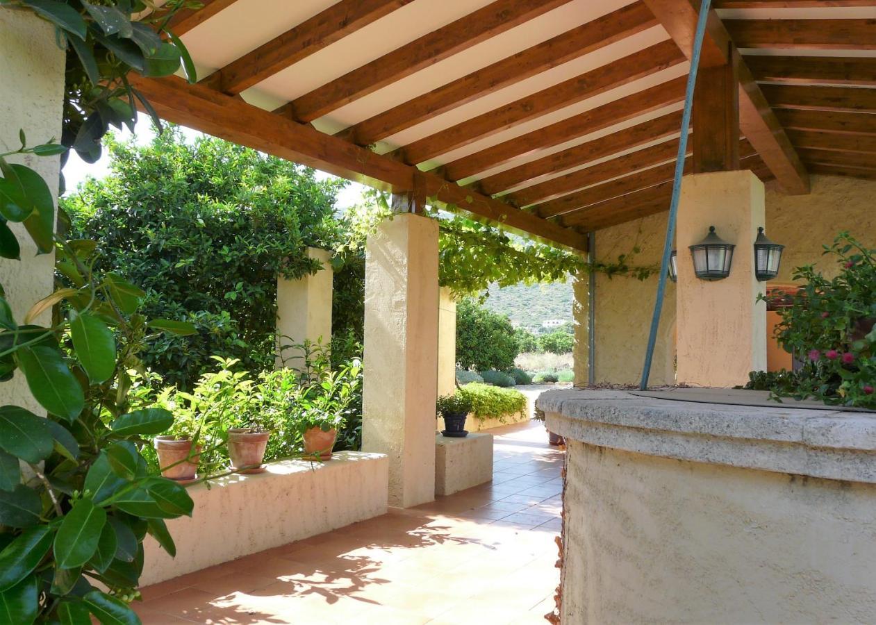 Casa Rural Con Encanto, 4 Hab Con 4 Banos Completos En Suite, Piscina Y Campo Privado 페드리구에르 외부 사진